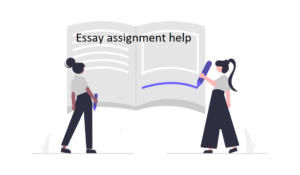 Essay assignment help