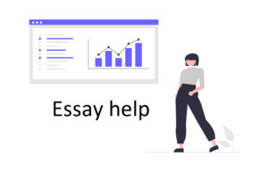 Essay help